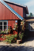 Cottage flower decoration near Trakai